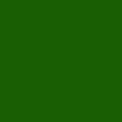 BRIGHT GREEN (1031)